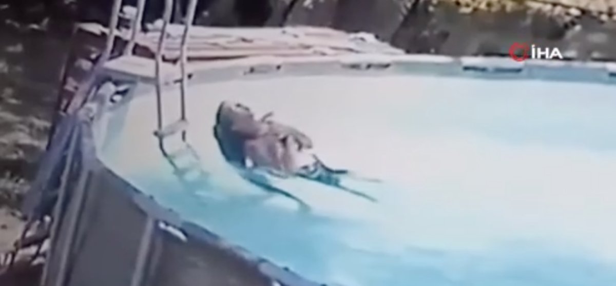 ABD'de, minik çocuğun nöbet geçiren annesini kurtarma anı