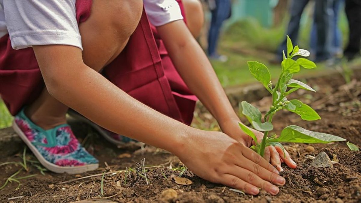 Avrupa'da 500 yılın en büyük kuraklığı yaşanıyor olabilir