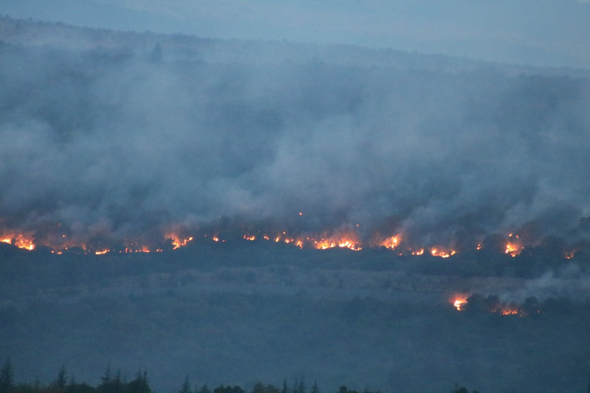 Bulgaristan'da orman yangını: Edirne'nin köylerine kadar dayandı