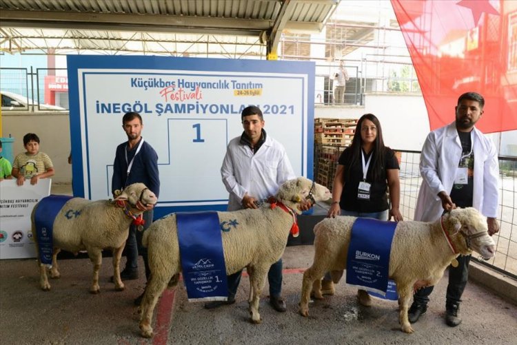 Bursa İnegöl ilçesi Eylül’de 4 festivalle renklenecek