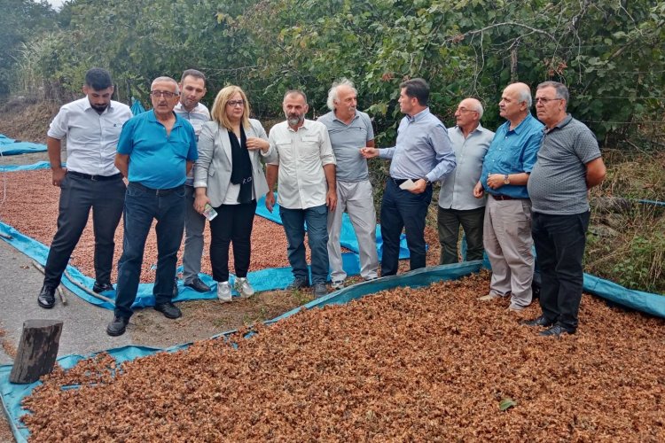 CHP&#039;li Kaya: &quot;Fındığa iyi fiyat verdik diye milleti aldatmaya çalışıyorlar&quot;