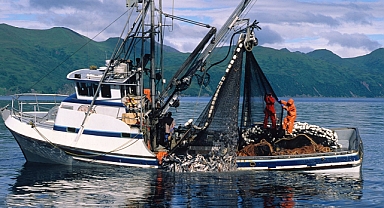 Denizlerdeki av yasağı 1 Eylül itibariyle sona eriyor