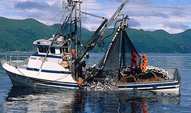 Denizlerdeki av yasağı 1 Eylül itibariyle sona eriyor