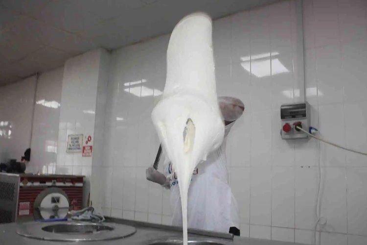 Diyarbakır&#039;ın yerli dondurması tescillendi