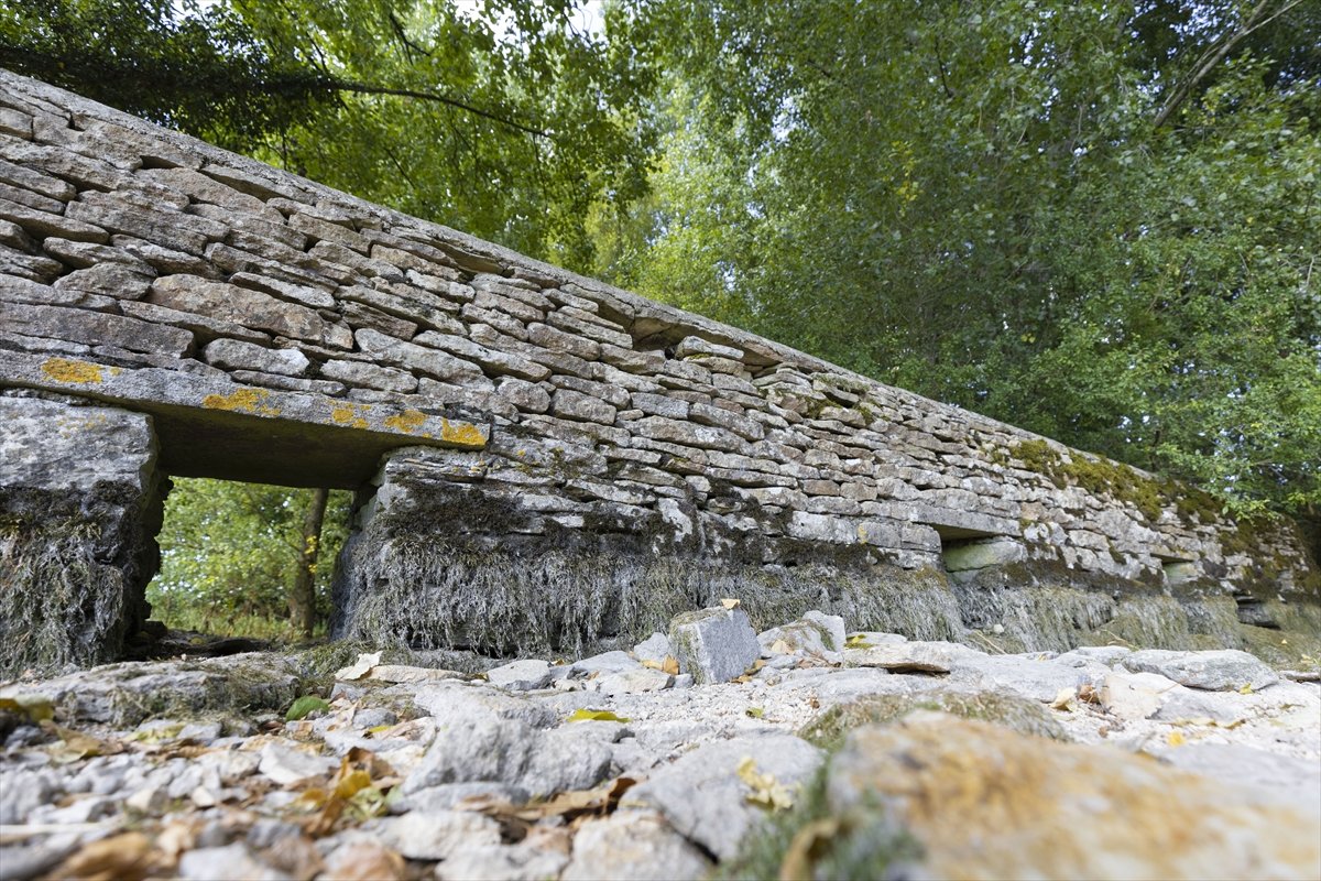 İngiltere'de Thames Nehri'nin kaynağı kuraklıktan etkilendi
