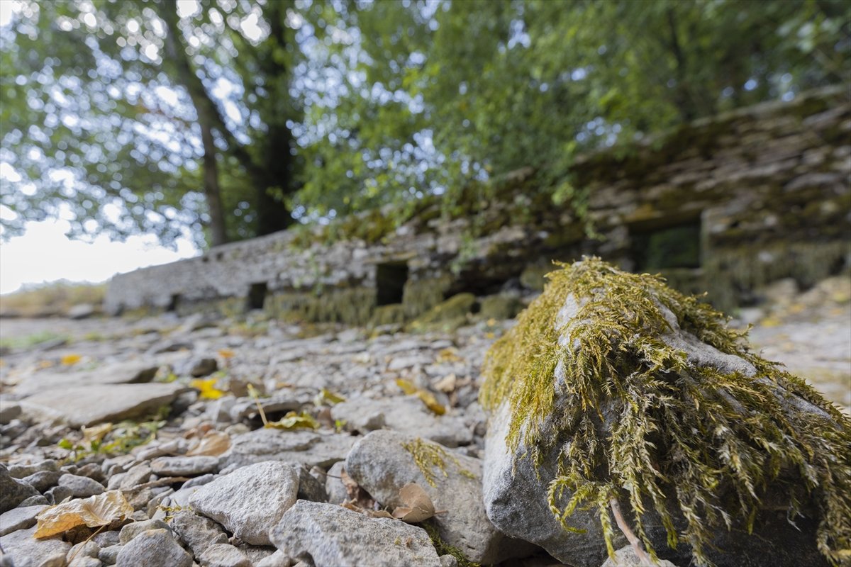 İngiltere'de Thames Nehri'nin kaynağı kuraklıktan etkilendi