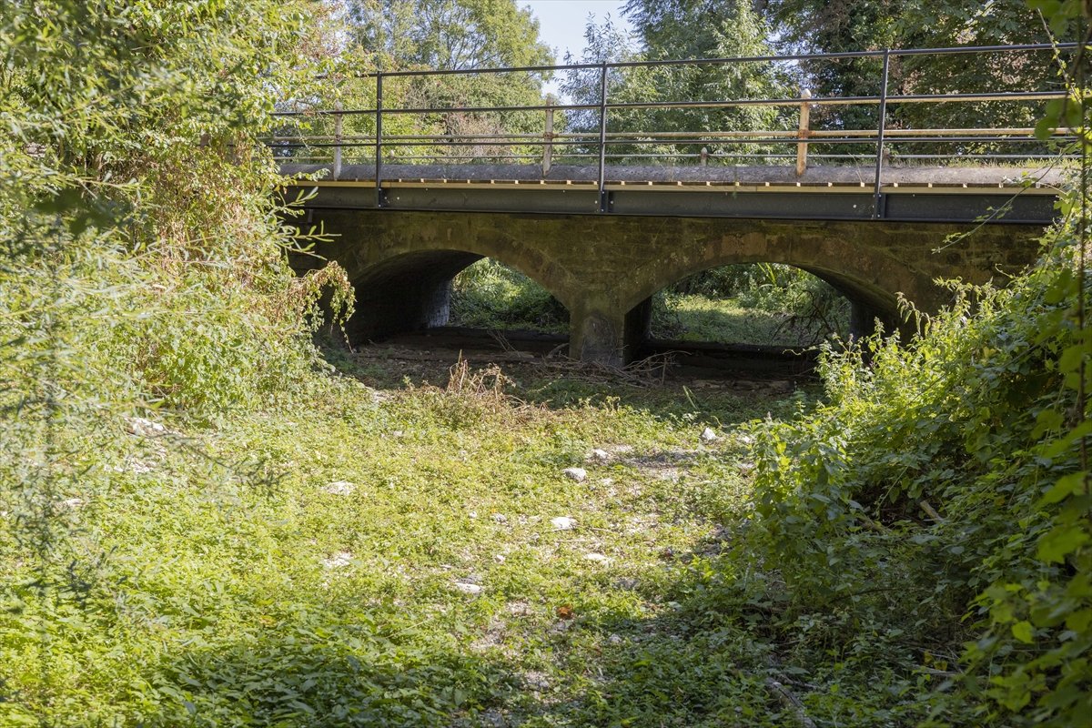 İngiltere'de Thames Nehri'nin kaynağı kuraklıktan etkilendi