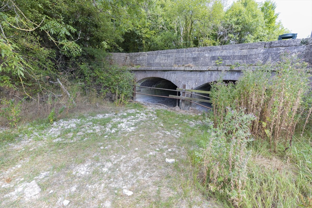 İngiltere'de Thames Nehri'nin kaynağı kuraklıktan etkilendi