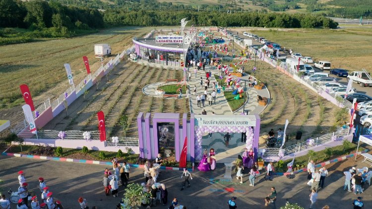 İzmit'te Lavanta parkı kulanıma açıldı