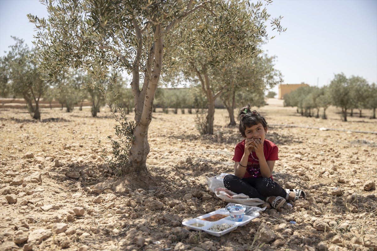 Kahraman Mehmetçik'ten Barış Pınarı bölgesine insani yardım faaliyetleri