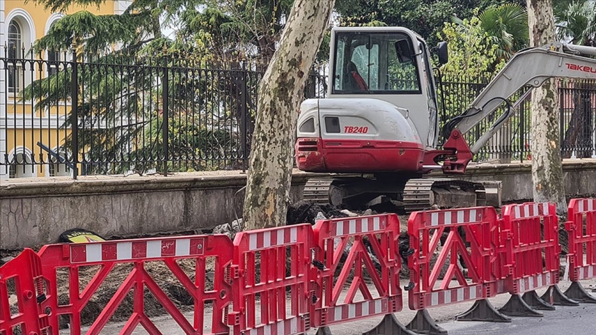 Orman Mühendisleri Odasından İBB tarafından Çırağan'da kesilen ağaçlarla ilgili açıklama