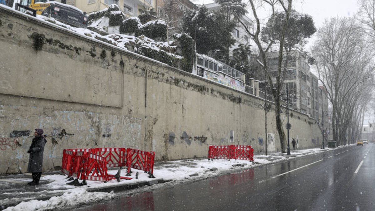 Orman Mühendisleri Odasından İBB tarafından Çırağan&#039;da kesilen ağaçlarla ilgili açıklama