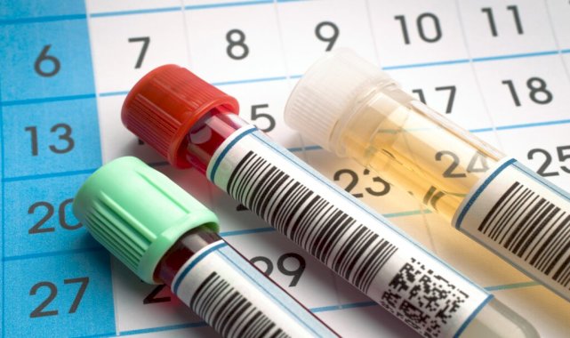 Böbrekleriniz Gerçekten Sağlıklı mı?