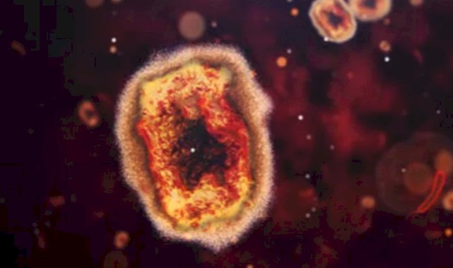 Çin'de yeni bir ölümcül virüsü: 35 kişiye bulaştı