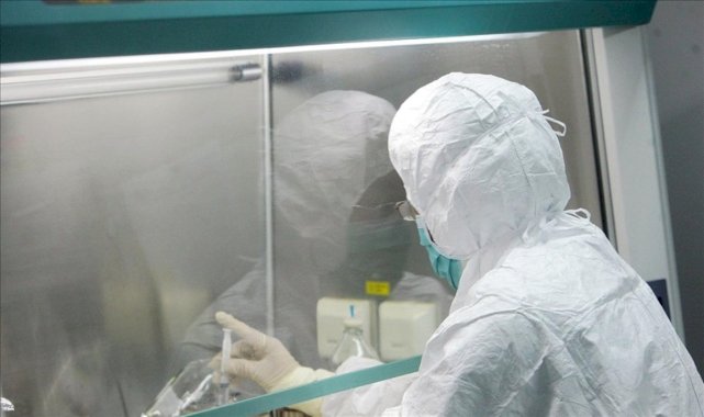 Hollanda'da maymun çiçeği virüsü vaka sayısı bini geçti