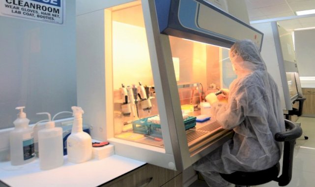 Türk bilim insanlarından Maymun Çiçeği için 1 saatte PCR Tanı kiti!