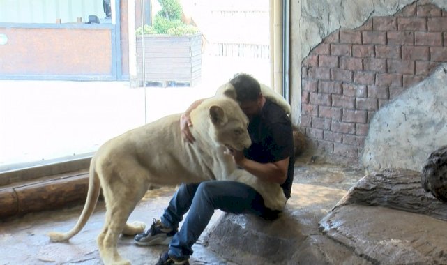 Tuzla'da aslandan kendisine 45 gün bakan kişiye vefa