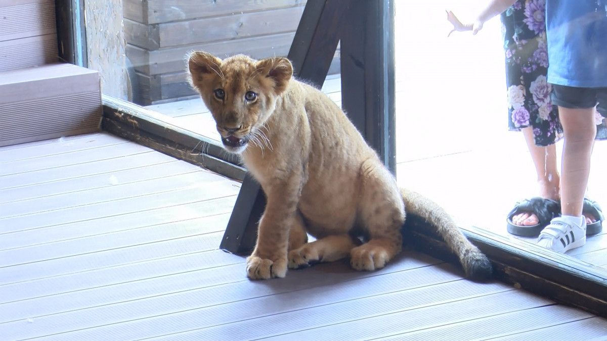Tuzla'da aslandan kendisine 45 gün bakan kişiye vefa