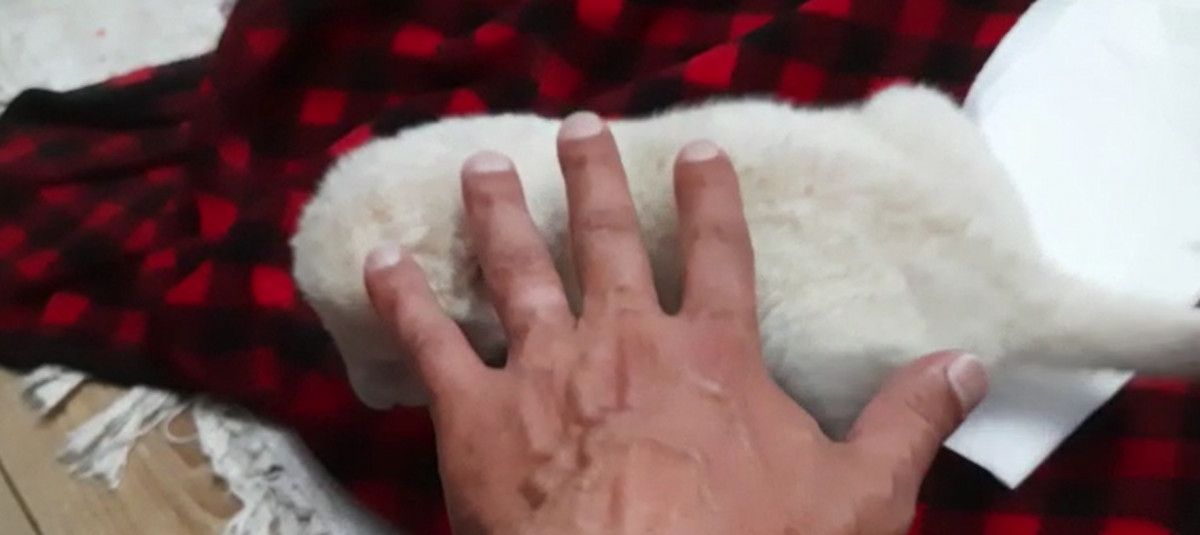 Tuzla'da aslandan kendisine 45 gün bakan kişiye vefa