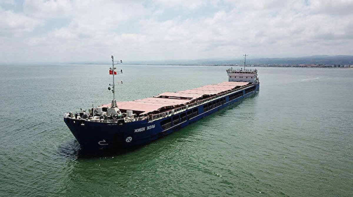 Ukrayna: Ağustos sonuna kadar 10 gemiye daha tahıl yüklemesi yapılacak