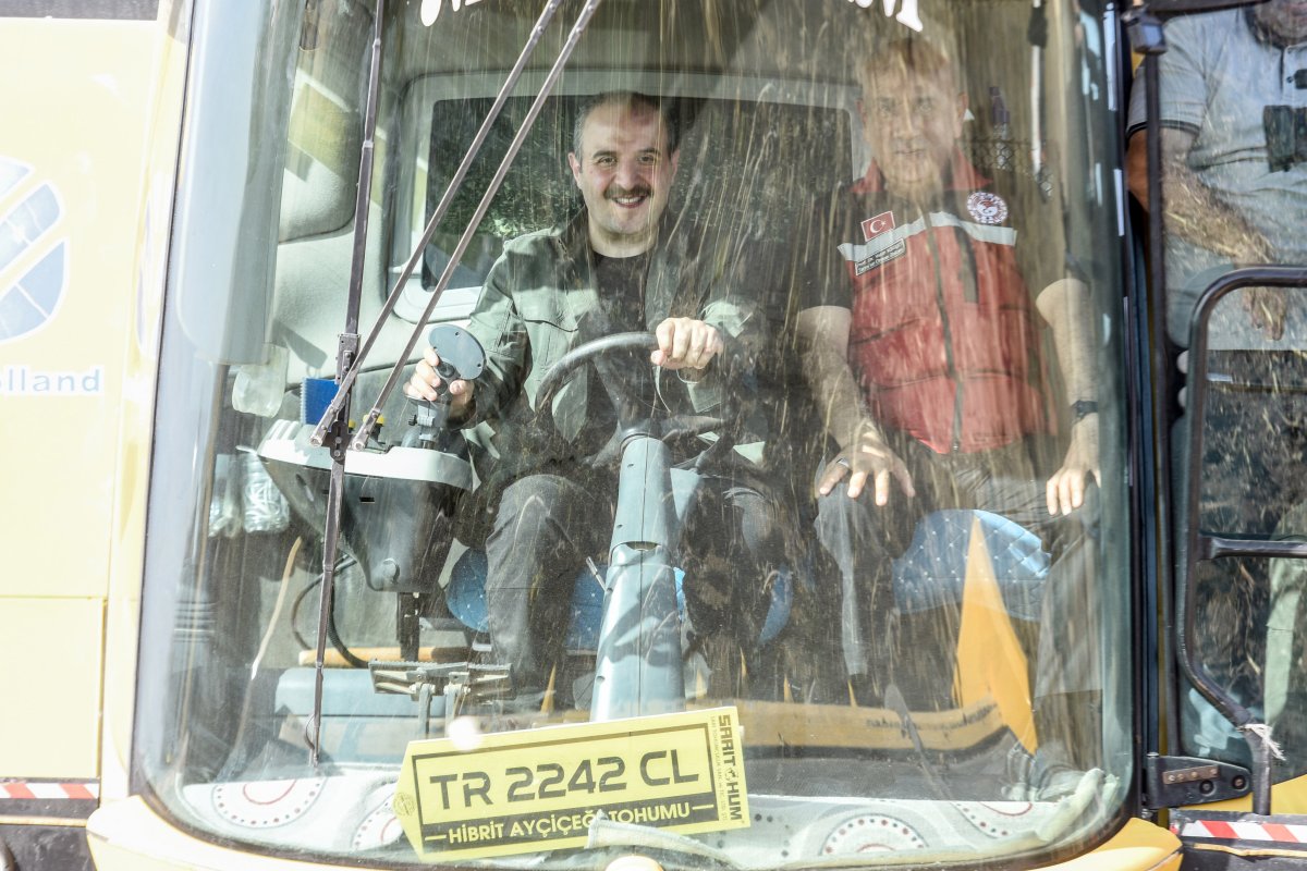 Bakan Varank: Yerli ve milli tohumluk ayçiçeğinde ilk hasat