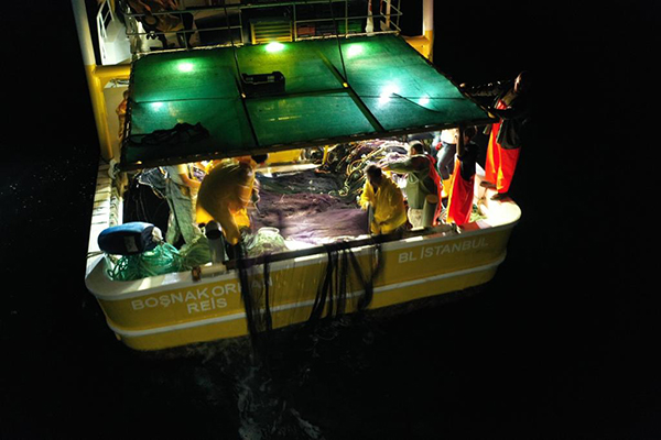 Balıkçılık sezonu açıldı, Tuzla’da ilk ağı Başkan Yazıcı attı