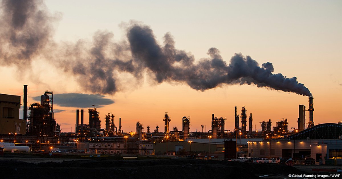 İklim değişikliğinin sebep olduğu orman yangınları hava kalitesini etkiliyor