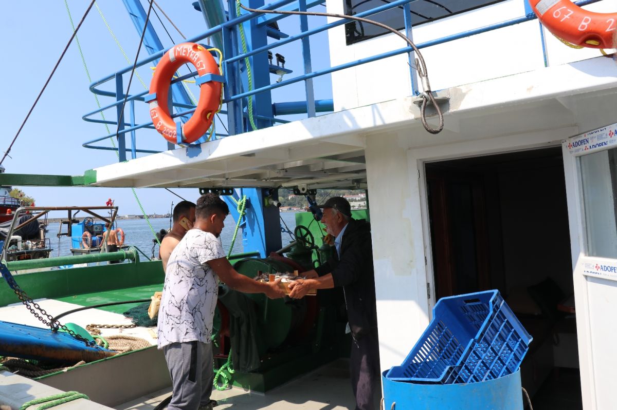 Karadeniz’de balık bereketi