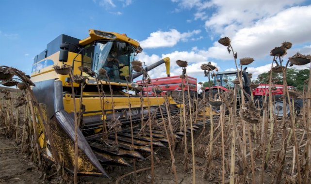 '1000 Çiftçi, 1000 Bereket' Balıkesir hasadında