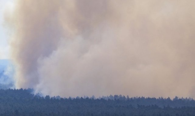 Almanya’da orman yangını: acil durum ilan edildi
