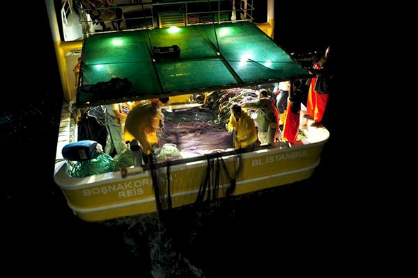 Balıkçılık sezonu açıldı, Tuzla’da ilk ağı Başkan Yazıcı attı