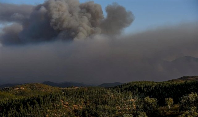 İklim değişikliğinin sebep olduğu orman yangınları hava kalitesini etkiliyor