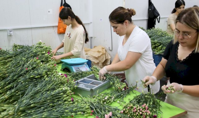 Kraliçe Elizabeth'in cenazesine, Türkiye'den 1 buçuk milyon dal karanfil gönderilecek