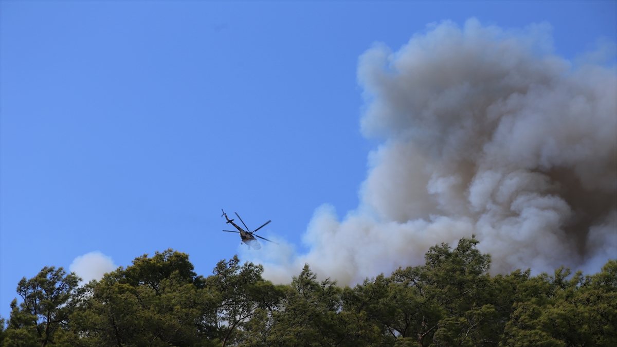 Ümit Özdağ'ın Marmaris'i sığınmacılar yaktı yalanı
