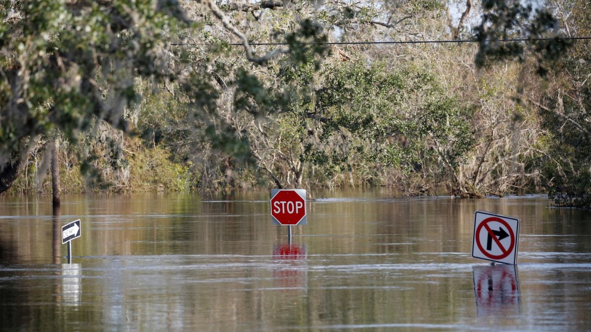 ABD'de et yiyen bakteri sebebiyle 65 vakadan 11'i öldü