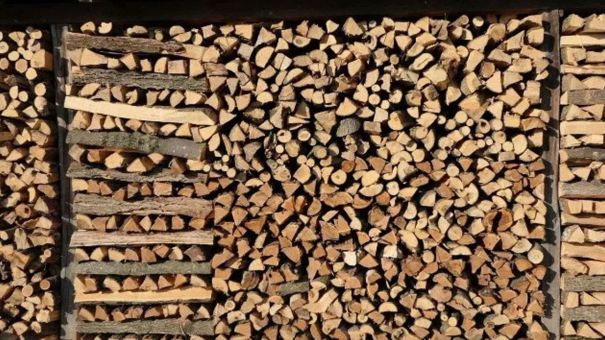 Almanya'da enerji krizi: Odun hırsızlığı artmaya başladı