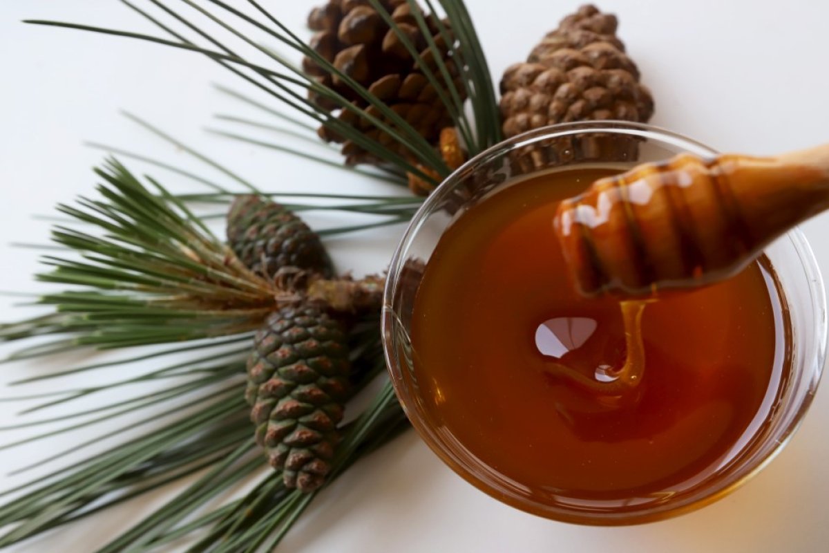 Arıcılar tehlikeyi duyurdu: Artık çam balı yok