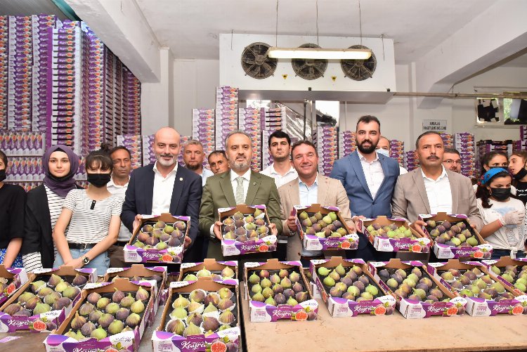 Bursa Büyükşehir üreticilere can suyu oldu... İncir üreticilerine 880 bin lira ödeme yapıldı