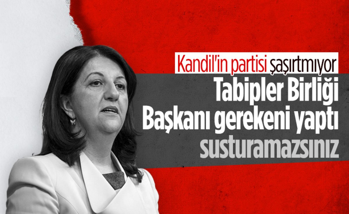 Dünya basınından Şebnem Korur Fincancı üzerinden Türkiye'ye algı oyunu