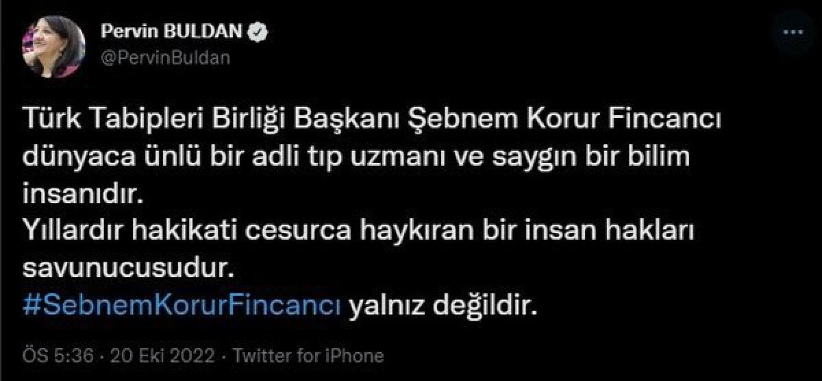 HDP'liler, TSK'ya iftira atan TTB Başkanı Fincancı'ya sahip çıktı