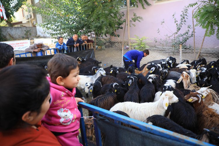 Muğla'dan Yatağan’a 'Kıl Keçisi' desteği