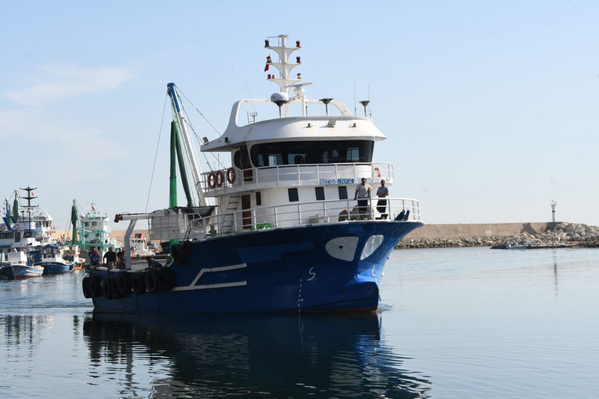 Palamut bolluğu yaşanan Karadeniz'de balıkçıların 'mayın' endişesi