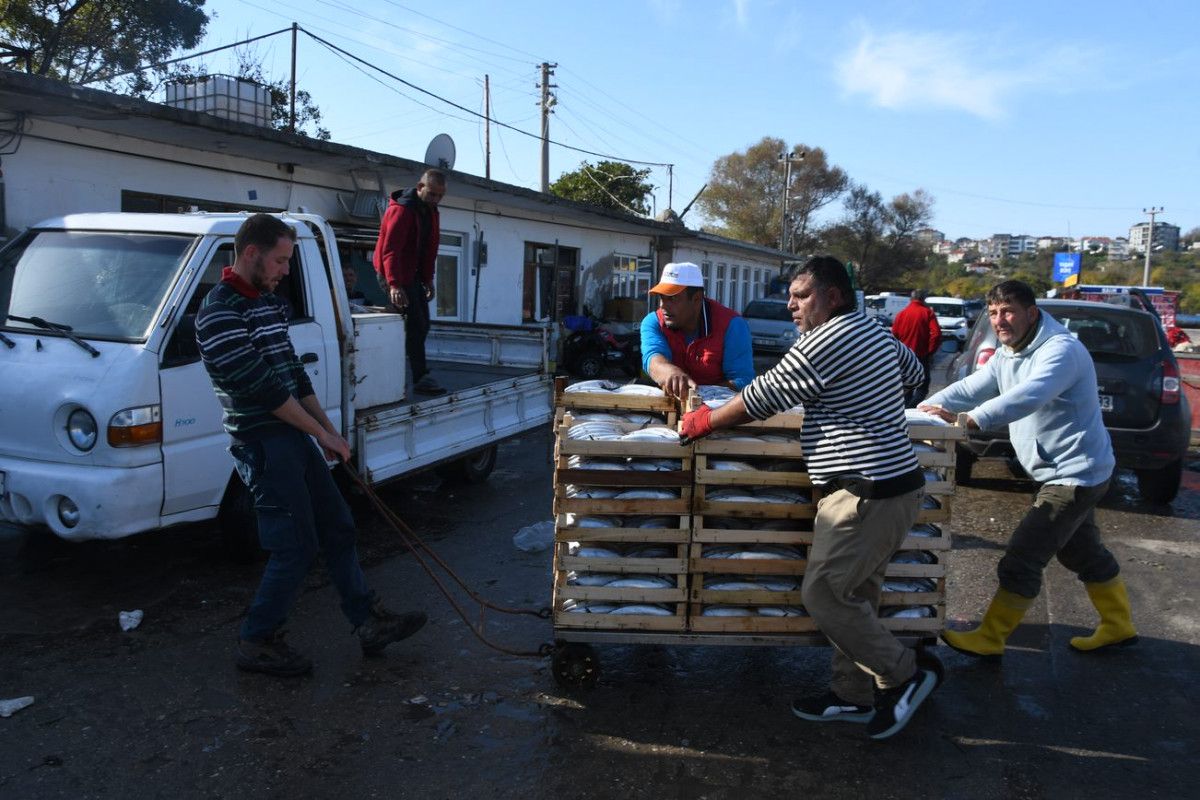 Palamut bolluğu yaşanan Karadeniz'de balıkçıların 'mayın' endişesi