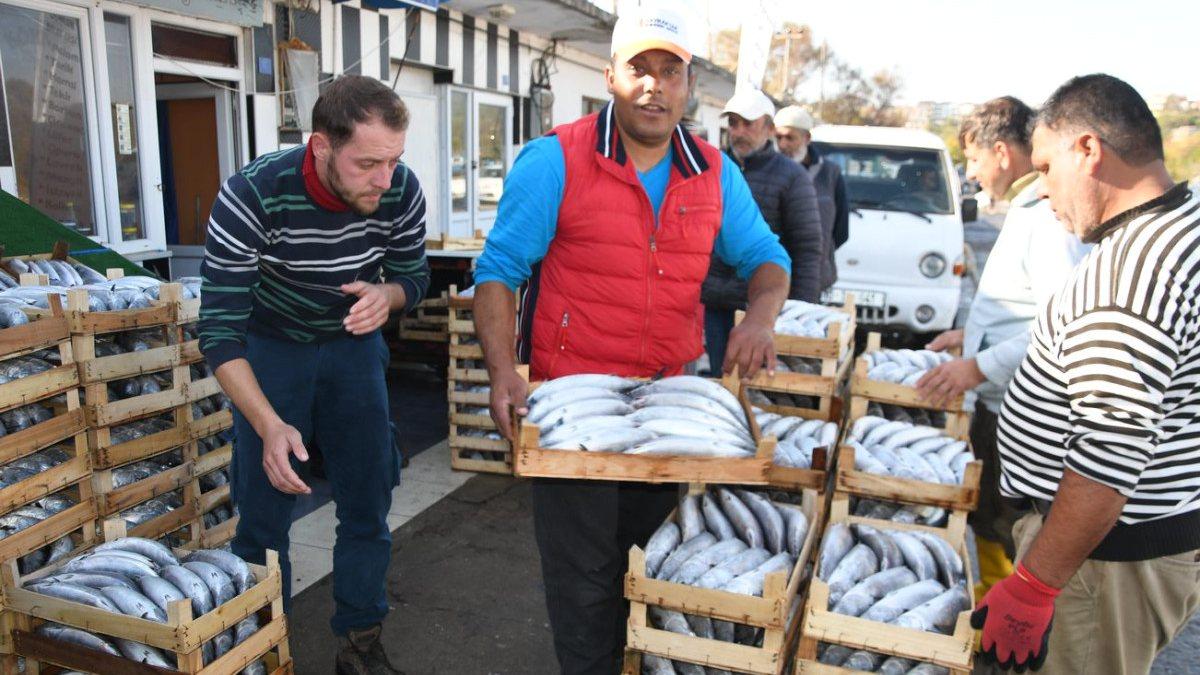 Palamut bolluğu yaşanan Karadeniz&#039;de balıkçıların &#039;mayın&#039; endişesi