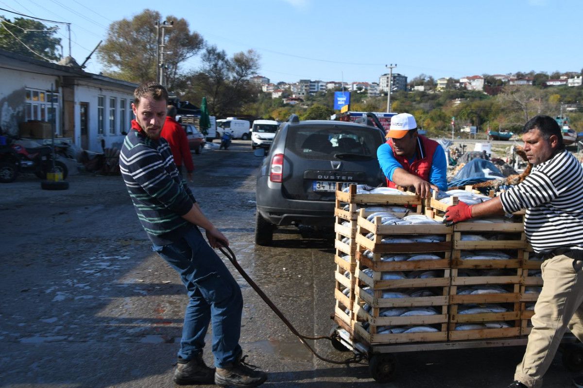 Palamut bolluğu yaşanan Karadeniz'de balıkçıların 'mayın' endişesi