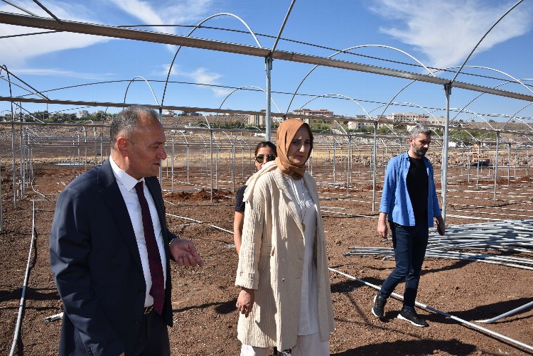 Şanlıurfa Siverek’teki sera projesinde çalışmalar hızlandı