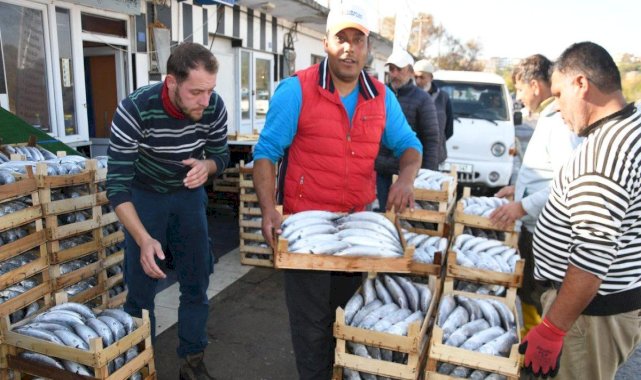 Palamut bolluğu yaşanan Karadeniz'de balıkçıların 'mayın' endişesi