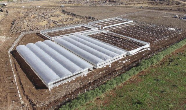 Şanlıurfa Siverek’teki sera projesinde çalışmalar hızlandı