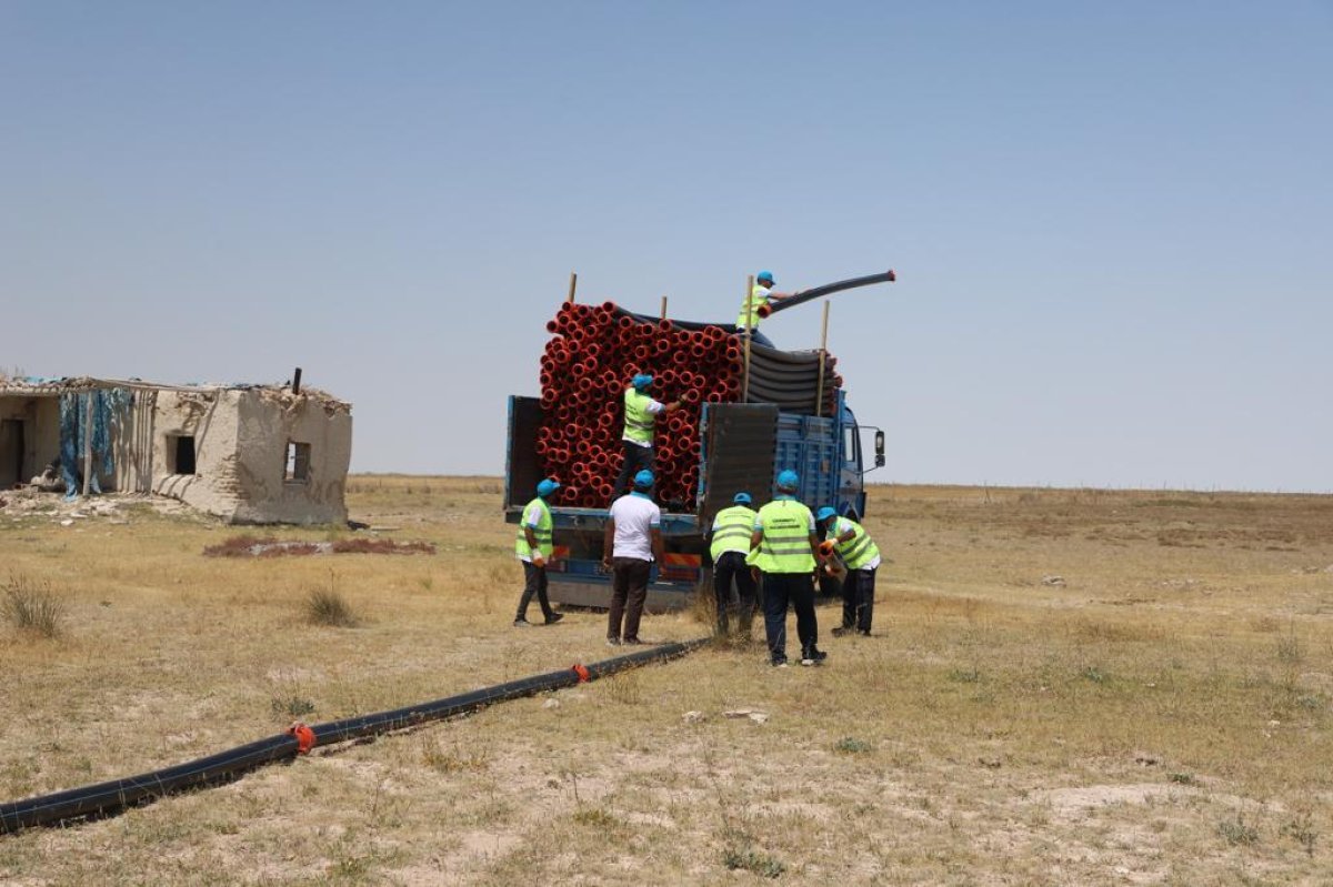 Tuz Gölü'nde flamingolar tehlikeden kurtuldu