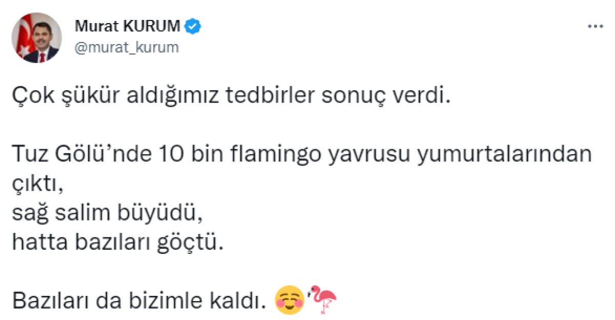 Tuz Gölü'nde flamingolar tehlikeden kurtuldu